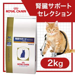 ビオチン 療法の通販 Au Pay マーケット