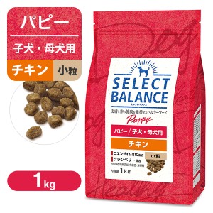 セレクトバランス パピー（子犬用） チキン 小粒 1kg