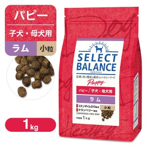 セレクトバランス パピー（子犬用） ラム 小粒 1kg