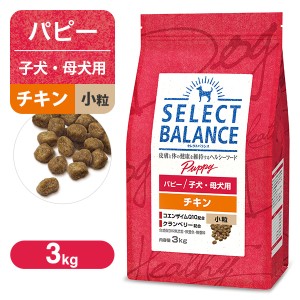 セレクトバランス パピー（子犬用） チキン 小粒 3kg