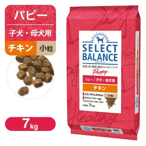 セレクトバランス パピー（子犬用） チキン 小粒 7kg