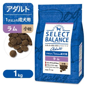 セレクトバランス アダルト（成犬用） ラム 小粒 1kg