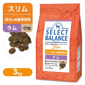 セレクトバランス スリム（成犬の体重管理用） ラム 小粒 3kg