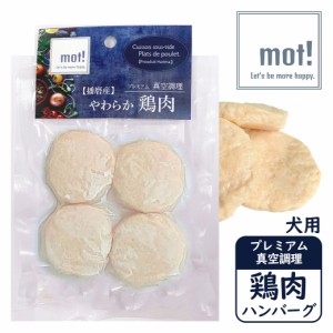 賞味期限：24年3月下旬頃 アウトレット フードロス FLF mot! 鶏肉ハンバーグ 60g