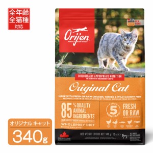 オリジン オリジナルキャット 340g