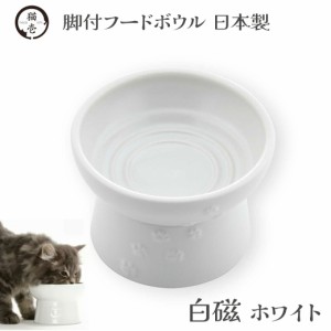 猫壱 猫用 脚付フードボウル 日本製 白磁 ホワイト