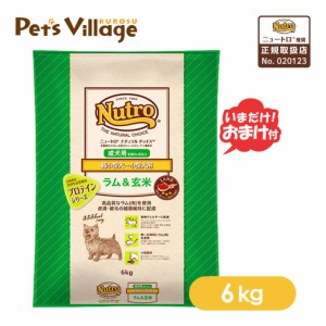 数量限定 おまけ付 公認店 ニュートロ ナチュラルチョイス ラム＆玄米 成犬用 超小型犬〜小型犬用 6kg