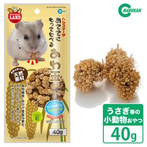 ハムスター グッズ かわいいの通販 Au Pay マーケット