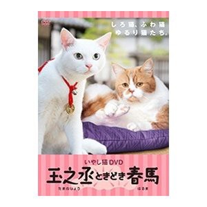 【中古DVD】いやし猫DVD 猫侍 玉之丞ときどき春馬【中古】[☆3][12213-4988166102317-12151]