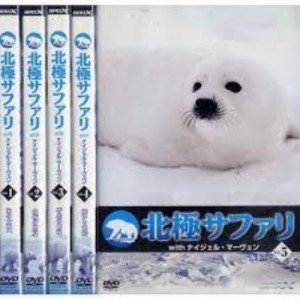 【中古レンタルアップDVD】北極サファリ 1巻〜5巻セット【中古】[☆2][12262-4988131600206-070902]