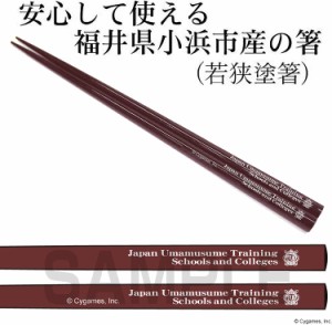 ウマ娘 プリティーダービー トレセン学園校章入り 箸