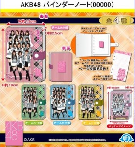 【AKBグッズ】 大放出 (数量限定) AKB48 バインダーノート (全4種) チームＡ チームK チームＢ チーム４