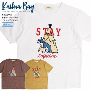 パイル地 メンズ Tシャツの通販 Au Pay マーケット