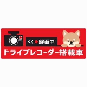 セーフティサイン セーフティーサイン カーサイン 犬 いぬ イヌ DOG 録画中 レッド シール ステッカー 14cm×5cm 長方形 ドライブレコー