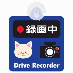 送料無料！セーフティサイン◆カーサイン◆動物アニマル◆猫 ねこ ネコ◆漢字 録画中 ドライブレコーダー◆ネイビー◆後方 吸盤タイプ◆