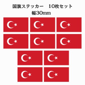 送料無料！30x17mm 10枚セット トルコ Turkey 国旗 ステッカー シール カッティングシート ステッカー