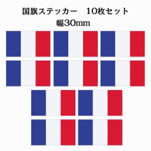 送料無料！30x17mm 10枚セット フランス France 国旗 ステッカー シール カッティングシート ステッカー