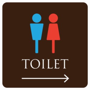 27cm×27cm トイレ 御手洗 TOILET ブラウン＆カラー 男女マーク ピクトサイン シール カッティングシート ステッカー タイプB