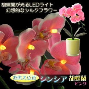 仏花【胡蝶蘭と花器が光るLEDライト　シンシア：胡蝶蘭　ピンク】新盆　初盆　お盆用品　盆提灯　盆花　仏壇用仏具　送料無料