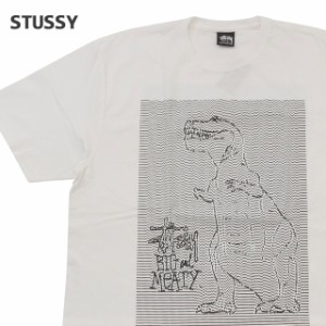新品 ステューシー STUSSY DOTS LOOPS TEE Tシャツ WHITE ホワイト 半袖Tシャツ