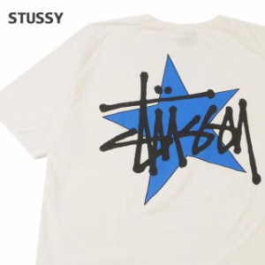 新品 ステューシー STUSSY STUSSY STAR PIG DYED TEE ピグメント ダイ Tシャツ 半袖Tシャツ