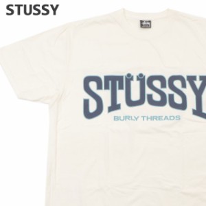 新品 ステューシー STUSSY BURLY THREADS PIG.DYED TEE ピグメント ダイ Tシャツ スケート ストリート エイトボール ストックロゴ ストゥ