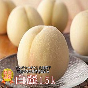 岡山白桃 白麗 1.5kg 約4〜6玉 岡山桃 桃 お中元 ギフト 贈答用 秀品