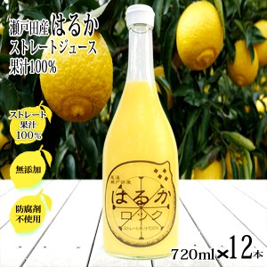 はるかジュース 無添加 720ml×12本 ストレート 100% 広島県 瀬戸田産 スカッシュ 天然果汁 有機 サワー