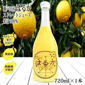 はるかジュース 無添加 720ml×1本 ストレート 100% 広島県 瀬戸田産 スカッシュ 天然果汁 有機 サワー