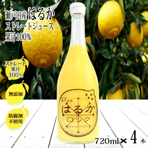 はるかジュース 無添加 720ml×4本 ストレート 100% 広島県 瀬戸田産 スカッシュ 天然果汁 有機 サワー