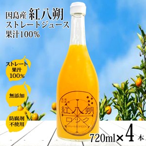 紅八朔 ストレートジュース 720ml×4本 八朔 はっさく 無添加 天然果汁 ハッサク ゼリー 紅八朔ジュース 有機 小分け 業務用 サワー 