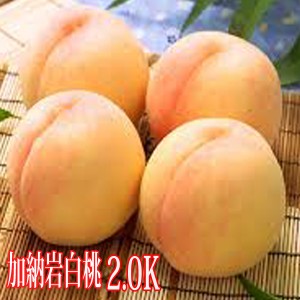 岡山白桃 加納岩白桃 約2.0kg 約6玉〜8玉 岡山桃 桃 もも お中元 贈答用 ギフト 秀品