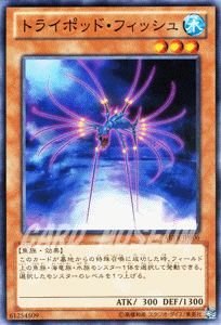 フィッシュ ライジング Fish Rising Japaneseclass Jp