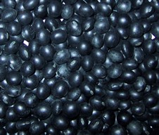 【事業所配送（個人宅不可）】 北海道産 光黒大豆（大粒） 黒豆 30kg