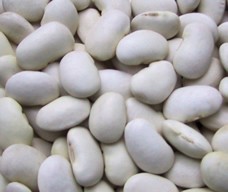 白花豆　25kg　(北海道産)