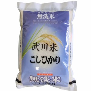 無洗米 5kg 令和5年産 山梨県産 武川米コシヒカリ 5kg 白米 (保存包装 選択可）