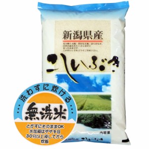 令和5年産 無洗米 10kg 新潟県産 こしいぶき 10kg 白米 (保存包装 選択可）