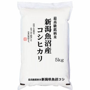 【事業所配送（個人宅不可）】 令和5年産新潟県 魚沼産コシヒカリ 5kg 白米 (玄米/無洗米 選べます。）