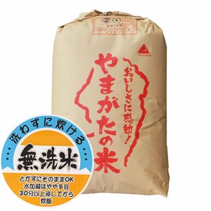 無洗米 令和5年産 もち米 山形県産 ヒメノモチ 精米３０kg