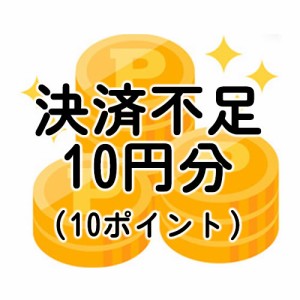 不足分決済10円分（不足送料・オプション等）-ポイント全額決済の方や増額できない決済を選択した方対象