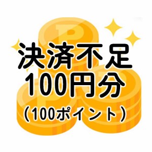 不足分決済100円分（不足送料・オプション等）-ポイント全額決済の方や増額できない決済を選択した方対象