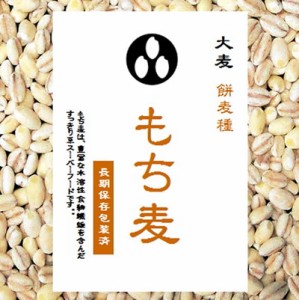 もち麦　900gパック　【送込/投函便対応】