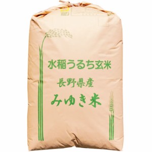 【無料精米】幻の米 令和5年産 みゆき 長野県産 （飯山） コシヒカリ 1等 玄米 30kg (白米/無洗米加工/保存包装 選択可）