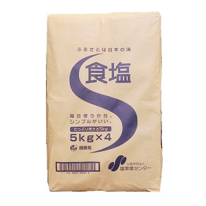 【事業所配送（個人宅不可）】 国産 食塩　5kg x 4袋 塩事業センター