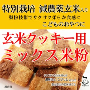 玄米クッキー用 ミックス米粉 （特別栽培米 山梨県産コシヒカリ 使用） 900g 長期保存包装 （投函便・メール便 送料無料）