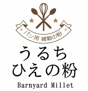 うるち ひえの粉 （インド産） 500g ベーカリー用雑穀 （投函便・メール便 送料無料）