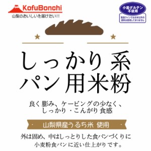 しっかり系 パン用 米粉 （山梨県産米使用） 900g（投函便・メール便 送料無料） ホームべカリーで3回分です。