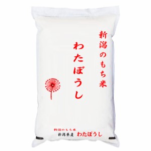 おいしいもち米 5kg 令和5年産新潟県産わたぼうし 5kg 白米 (玄米/無洗米 選べます。）