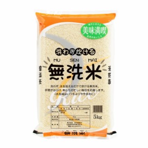 【事業所配送（個人宅不可）】 お得な無洗米 5kg 生活応援ブレンド米 5kg 