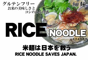 グルテンフリー Rice Noodle 米麺は日本を救う セット ※お米めん10食/グルテンフリーつゆ500mlx2本/グルテンフリーあごだし1袋（8gx8入